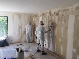 Calumet City, IL Mold Prevention & Removal  Company